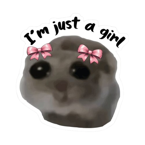 hamster meme